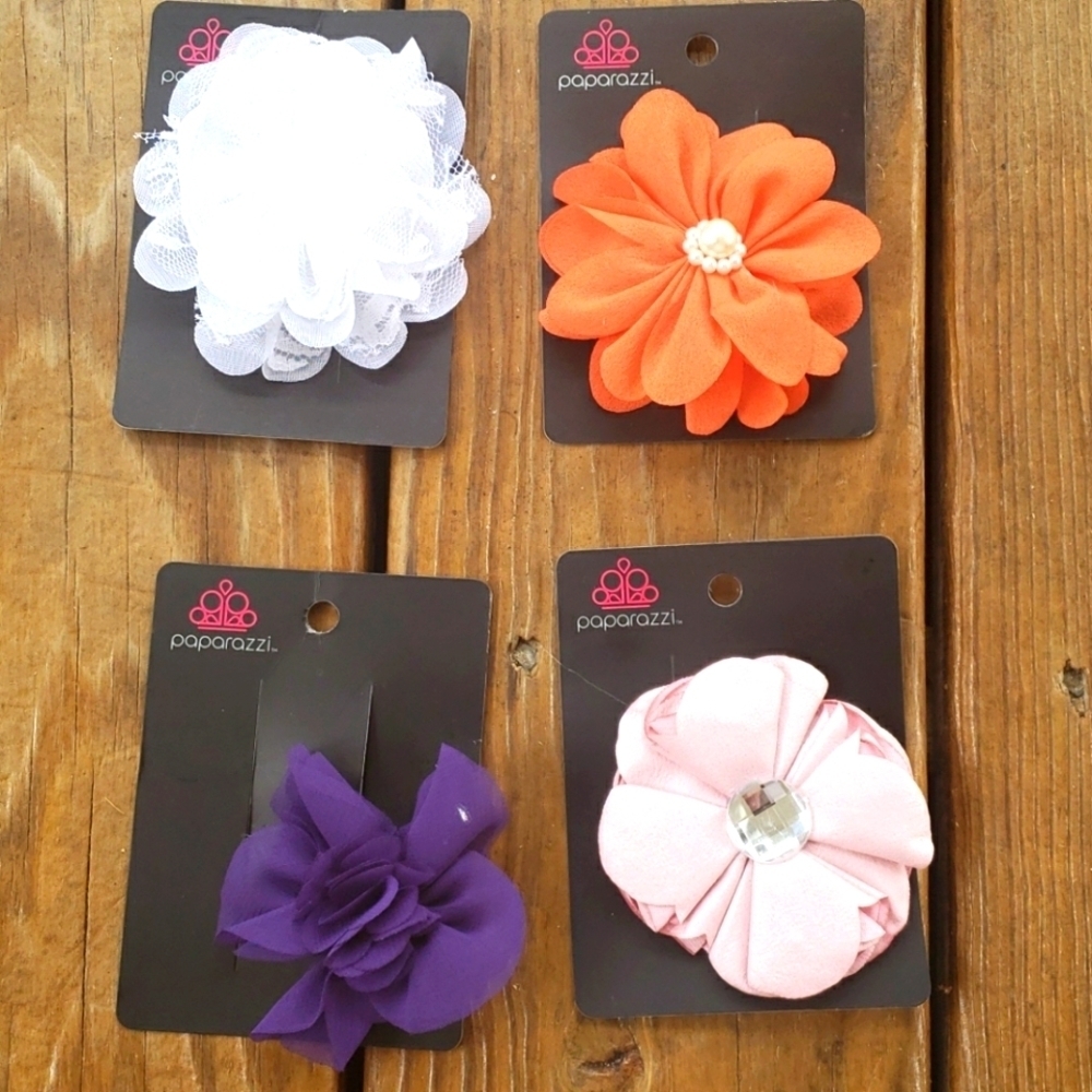 Paparazzi hair clips for girls